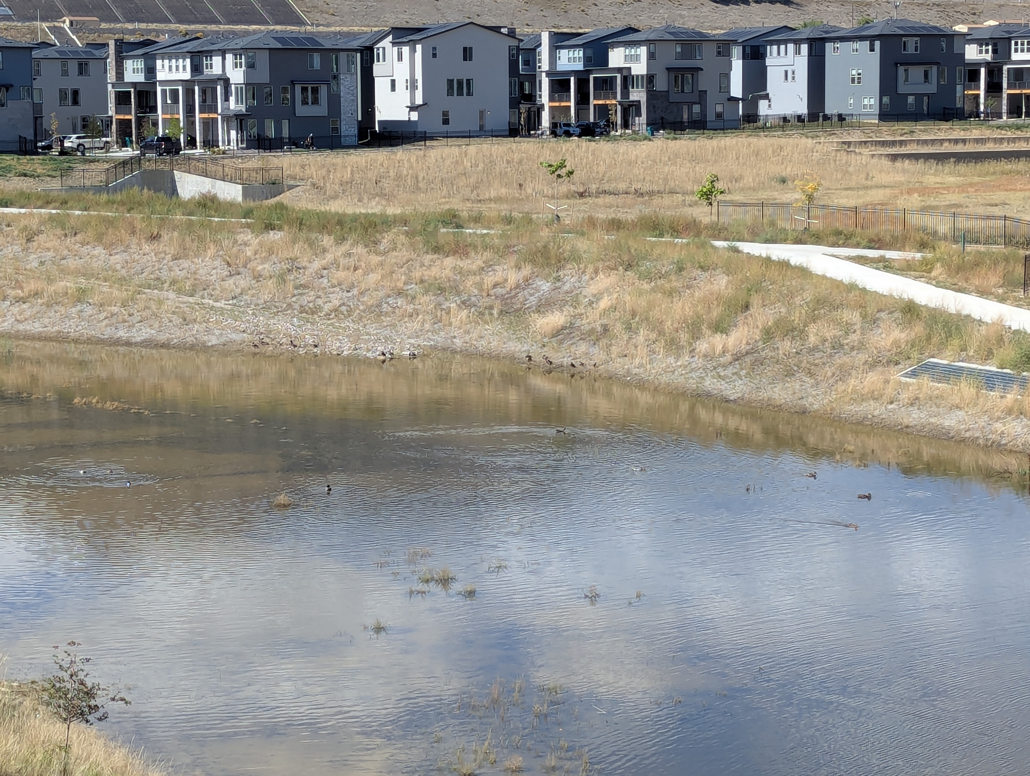 Duck Pond, Morrison, Colorado